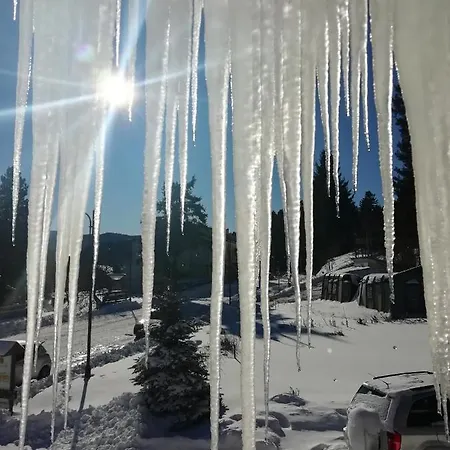 Caracas Guest house 3*