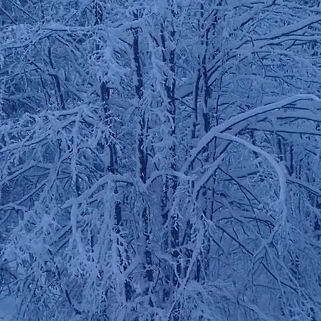 Caracas Guest house 3*