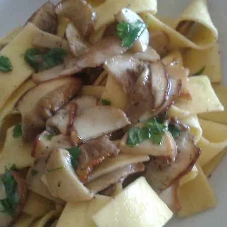 Caracas Guest house Lorica