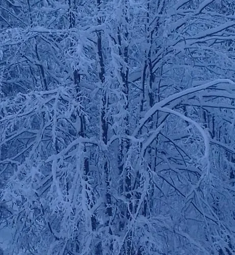 Caracas Vendégház 3*