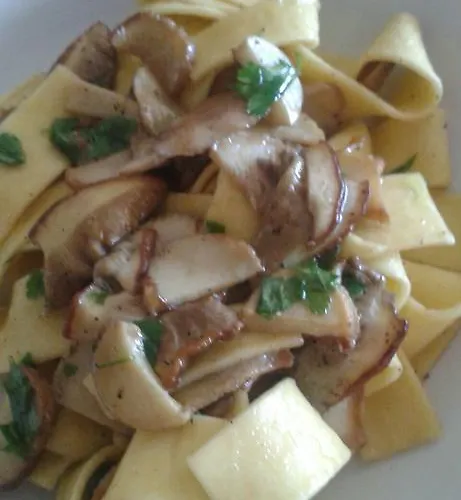 Caracas Vendégház Lorica