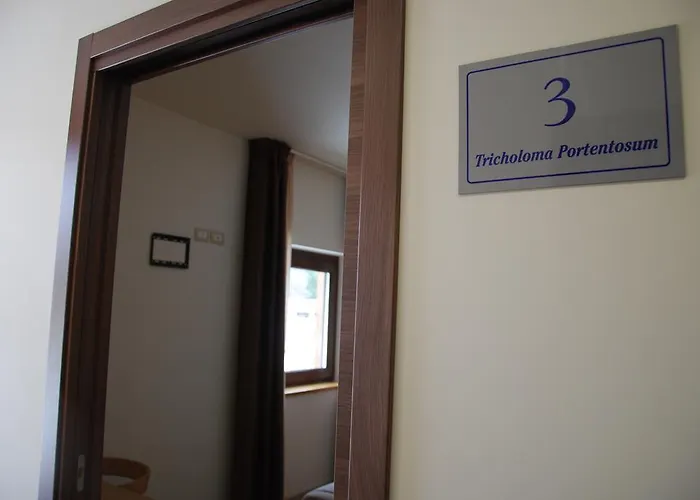 Vendégház Caracas Lorica