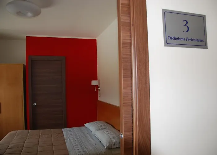 Vendégház Caracas Lorica